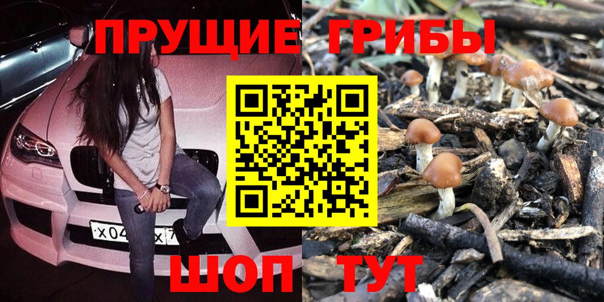 Псилоцибиновые грибы Magic Shrooms  Вход с VPN  Галлюциногенные грибы прущие грибы  Новодвинск 